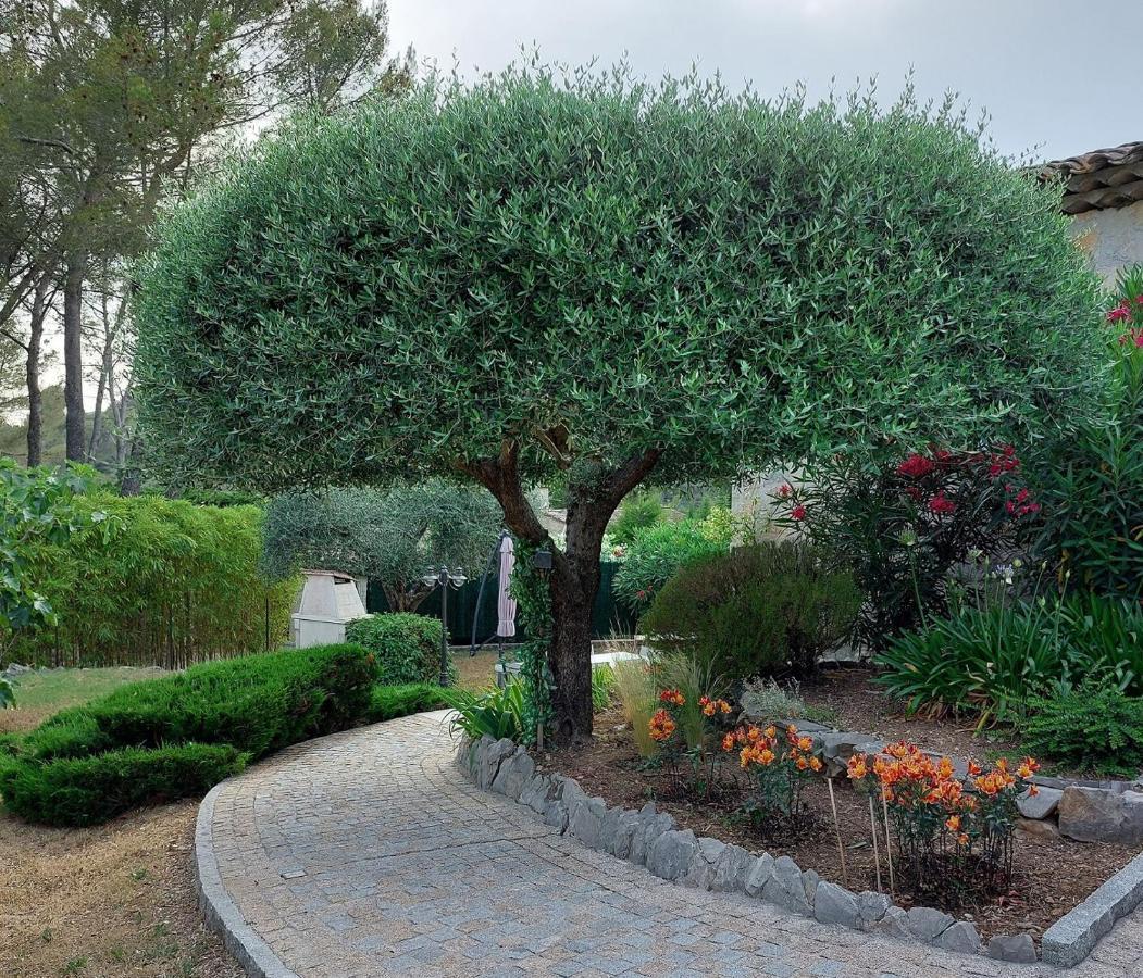 Gite Les Pins Climatise Piscine Chauffee Jardin Peymeinade Luaran gambar