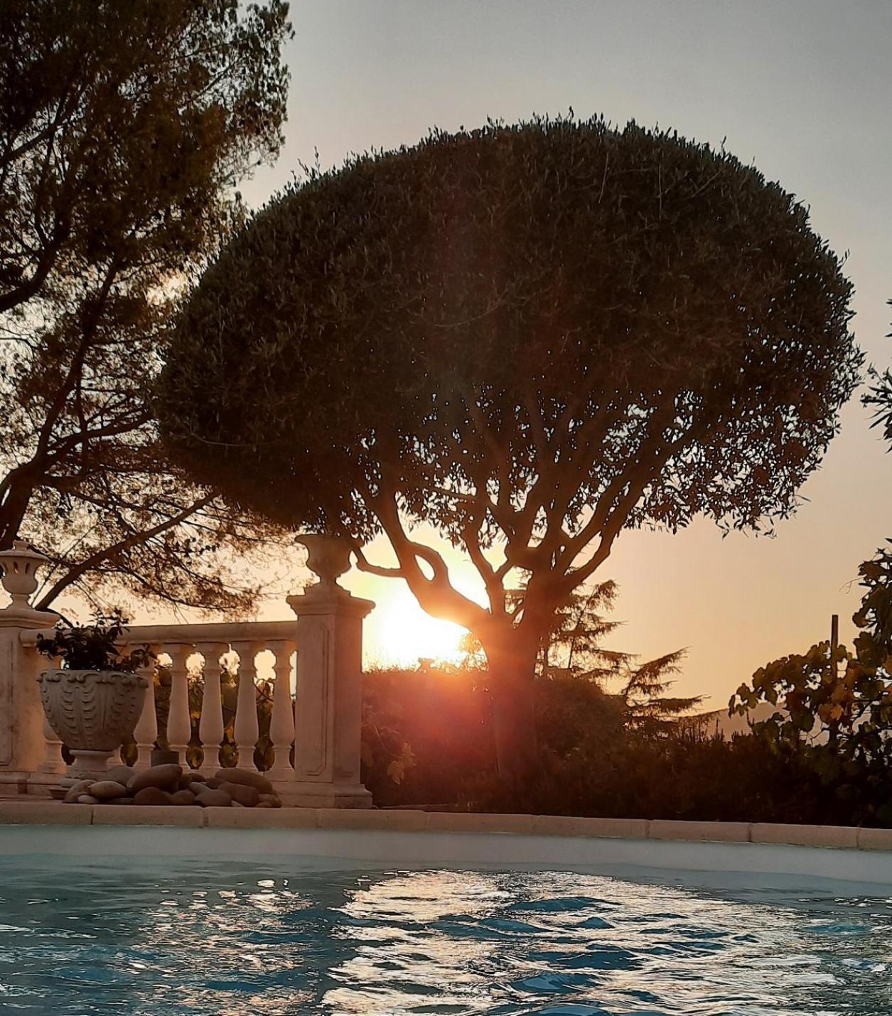 Gite Les Pins Climatise Piscine Chauffee Jardin Peymeinade Luaran gambar